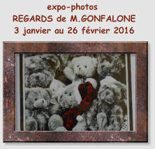 expo-photos  REGARDS de M.GONFALONE  3 janvier au 26 février 2016